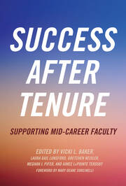 Success After Tenure: Supporting Mid-Career Faculty book cover
