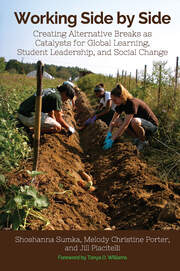 Working Side by Side: Creating Alternative Breaks as Catalysts for Global Learning, Student Leadership, and Social Change book cover
