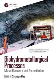Biohydrometallurgical Processes: Metal Recovery and Remediation book cover