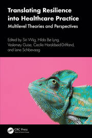 Translating Resilience into Healthcare Practice: Multilevel Theories and Perspectives book cover