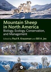 Mountain Sheep in North America: Biology, Ecology, Conservation, and Management book cover