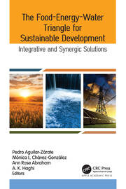 The Food-Energy-Water Triangle for Sustainable Development: Integrative and Synergic Solutions book cover
