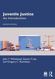 Juvenile Justice: An Introduction book cover