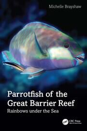 Parrotfish of the Great Barrier Reef: Rainbows under the Sea book cover