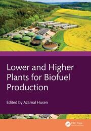 Lower and Higher Plants for Biofuel Production book cover