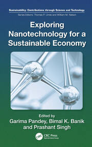 Exploring Nanotechnology for a Sustainable Economy book cover