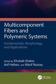 Multicomponent Fibers and Polymeric Systems: Fundamentals, Morphology, and Applications book cover