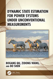 Dynamic State Estimation for Power Systems under Unconventional Measurements book cover