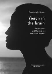 Vision in the Brain book cover