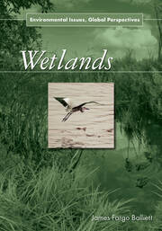Wetlands: Environmental Issues, Global Perspectives book cover