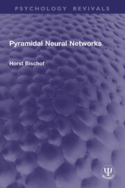 Pyramidal Neural Networks book cover