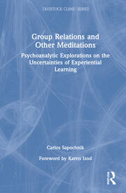 Group Relations and Other Meditations: Psychoanalytic Explorations on the Uncertainties of Experiential Learning book cover