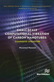 Small-scale Computational Vibration of Carbon Nanotubes: Composite Structure book cover