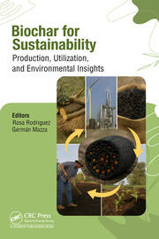 Biochar for Sustainability: Production, Utilization, and Environmental Insights book cover