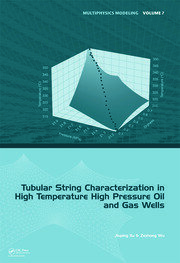 Tubular String Characterization in High Temperature High Pressure Oil and Gas Wells book cover