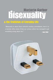 Bisexuality and the Eroticism of Everyday Life book cover