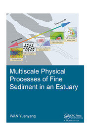 Multiscale Physical Processes of Fine Sediment in an Estuary book cover