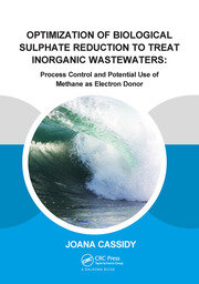 Optimization of Biological Sulphate Reduction to Treat Inorganic Wastewaters: Process Control and Potential Use of Methane as Electron Donor book cover