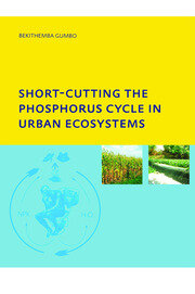 Short-cutting the Phosphorus Cycle in Urban Ecosystems book cover