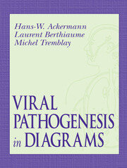 Viral Pathogenesis in Diagrams book cover
