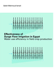 Effectiveness of Surge Flow Irrigation in Egypt: Water Use Efficiency in Field Crop Production book cover