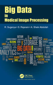 Big Data in Medical Image Processing book cover