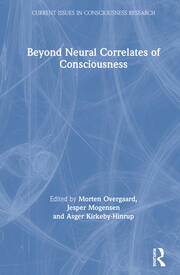Beyond Neural Correlates of Consciousness book cover
