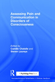 Assessing Pain and Communication in Disorders of Consciousness book cover
