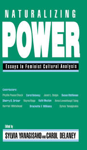 Naturalizing Power: Essays in Feminist Cultural Analysis book cover