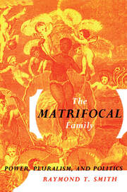 The Matrifocal Family: Power, Pluralism and Politics book cover