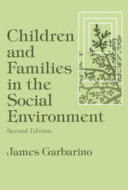 Children and Families in the Social Environment: Modern Applications of Social Work book cover