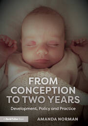From Conception to Two Years: Development, Policy and Practice book cover