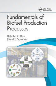 Fundamentals of Biofuel Production Processes book cover