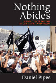 Nothing Abides: Perspectives on the Middle East and Islam book cover