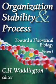 Organization Stability and Process: Volume 3 book cover