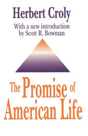 The Promise of American Life book cover