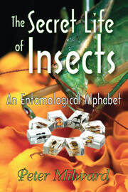 The Secret Life of Insects: An Entomological Alphabet book cover
