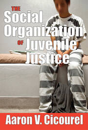 The Social Organization of Juvenile Justice book cover