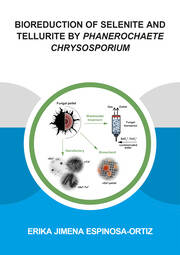 Bioreduction of Selenite and Tellurite by Phanerochaete Chrysosporium book cover