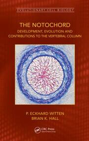 The Notochord: Development, Evolution and contributions to the vertebral column book cover