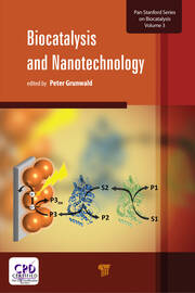 Biocatalysis and Nanotechnology book cover