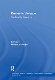 Domestic Violence: The Five Big Questions book cover