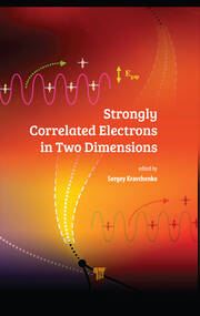 Strongly Correlated Electrons in Two Dimensions book cover