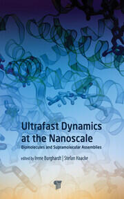 Ultrafast Dynamics at the Nanoscale: Biomolecules and Supramolecular Assemblies book cover