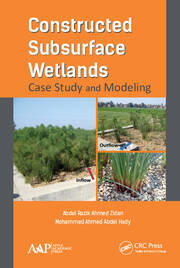 Constructed Subsurface Wetlands: Case Study and Modeling book cover