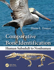 Comparative Bone Identification: Human Subadult to Nonhuman book cover