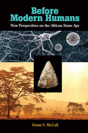 Before Modern Humans: New Perspectives on the African Stone Age book cover