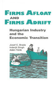 Firms Afloat and Firms Adrift: Hungarian Industry and Economic Transition book cover