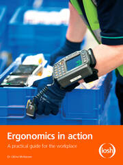 Ergonomics in Action: A Practical Guide for the Workplace book cover
