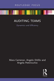 Auditing Teams: Dynamics and Efficiency book cover